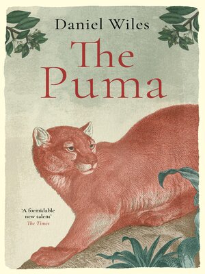 cover image of The Puma